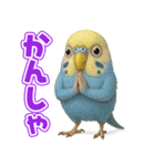 キモブサカワ11(セキセイインコ)（個別スタンプ：10）