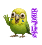 キモブサカワ11(セキセイインコ)（個別スタンプ：11）
