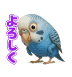 キモブサカワ11(セキセイインコ)（個別スタンプ：14）
