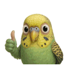 キモブサカワ11(セキセイインコ)（個別スタンプ：16）