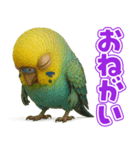キモブサカワ11(セキセイインコ)（個別スタンプ：21）