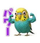 キモブサカワ11(セキセイインコ)（個別スタンプ：23）