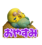 キモブサカワ11(セキセイインコ)（個別スタンプ：26）
