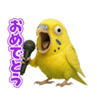 キモブサカワ11(セキセイインコ)（個別スタンプ：30）