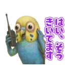キモブサカワ11(セキセイインコ)（個別スタンプ：33）