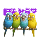 キモブサカワ11(セキセイインコ)（個別スタンプ：38）