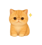 いとしのエキゾチックショートヘア（個別スタンプ：9）