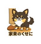 内弁慶チワワの日常あるある1（個別スタンプ：8）