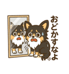 内弁慶チワワの日常あるある1（個別スタンプ：14）