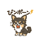 内弁慶チワワの日常あるある1（個別スタンプ：24）