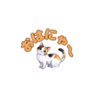 ねこのゆるゆるごあいさつ（個別スタンプ：1）