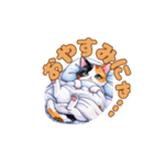 ねこのゆるゆるごあいさつ（個別スタンプ：11）