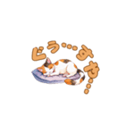 ねこのゆるゆるごあいさつ（個別スタンプ：12）