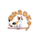 ねこのゆるゆるごあいさつ（個別スタンプ：16）