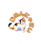 ねこのゆるゆるごあいさつ（個別スタンプ：22）