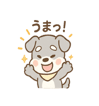 あまあまシュナのスイーツパーティー（個別スタンプ：24）