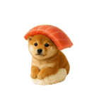 お寿司しば犬（個別スタンプ：1）