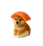 お寿司しば犬（個別スタンプ：4）