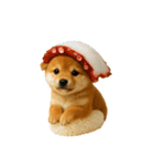 お寿司しば犬（個別スタンプ：5）