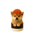 お寿司しば犬（個別スタンプ：6）