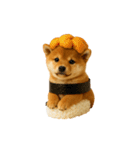 お寿司しば犬（個別スタンプ：7）