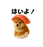 お寿司しば犬（個別スタンプ：11）
