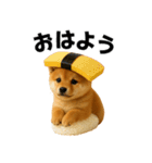 お寿司しば犬（個別スタンプ：12）
