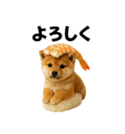 お寿司しば犬（個別スタンプ：13）