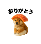 お寿司しば犬（個別スタンプ：14）