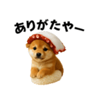 お寿司しば犬（個別スタンプ：15）