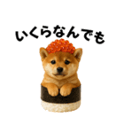 お寿司しば犬（個別スタンプ：18）