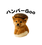 お寿司しば犬（個別スタンプ：21）