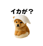 お寿司しば犬（個別スタンプ：22）