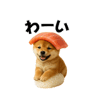 お寿司しば犬（個別スタンプ：23）