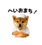 お寿司しば犬（個別スタンプ：27）