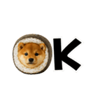 お寿司しば犬（個別スタンプ：28）