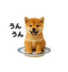 お寿司しば犬（個別スタンプ：29）