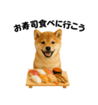 お寿司しば犬（個別スタンプ：30）