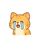 トラネコにゃおじ（個別スタンプ：5）