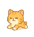 トラネコにゃおじ（個別スタンプ：16）