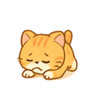 トラネコにゃおじ（個別スタンプ：18）