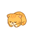 トラネコにゃおじ（個別スタンプ：21）