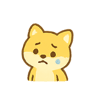 しばいぬサニーの日常（個別スタンプ：11）