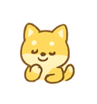 しばいぬサニーの日常（個別スタンプ：19）