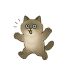 メインクーンの日々（個別スタンプ：15）
