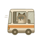 メインクーンの日々（個別スタンプ：17）