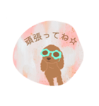 サングラスのトイプードル言葉（個別スタンプ：20）