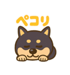 コロタンプ01（個別スタンプ：7）