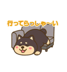 コロタンプ01（個別スタンプ：16）