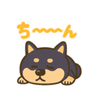 コロタンプ03（個別スタンプ：22）